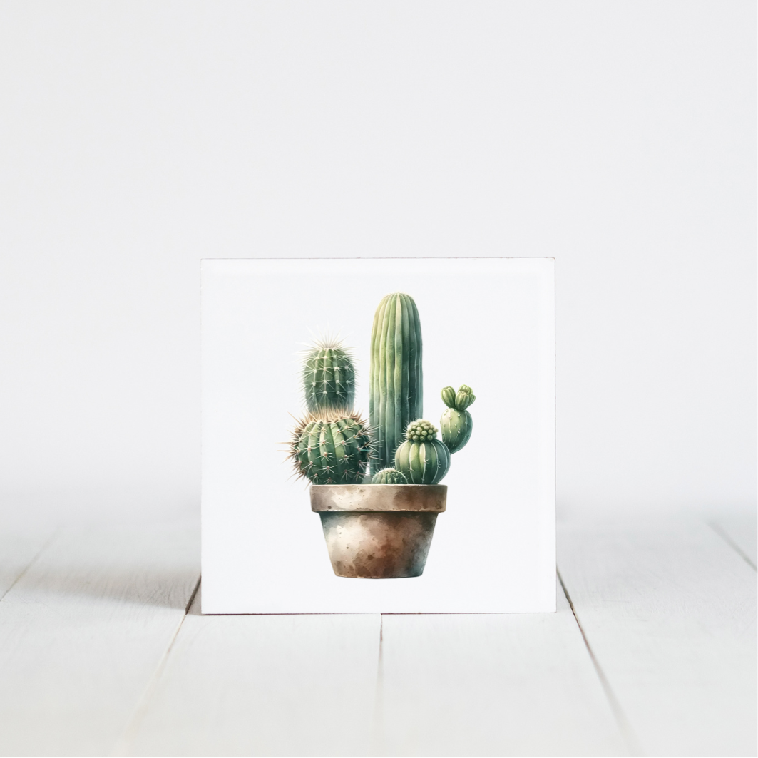 tegeltje met cactus afbeelding