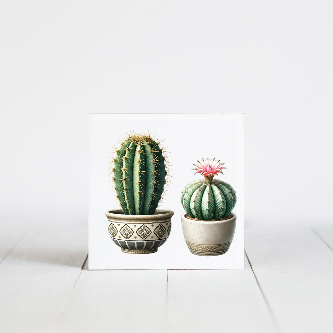 tegeltje met cactus afbeelding