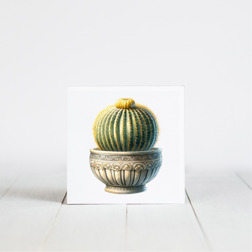 tegeltje met cactus afbeelding