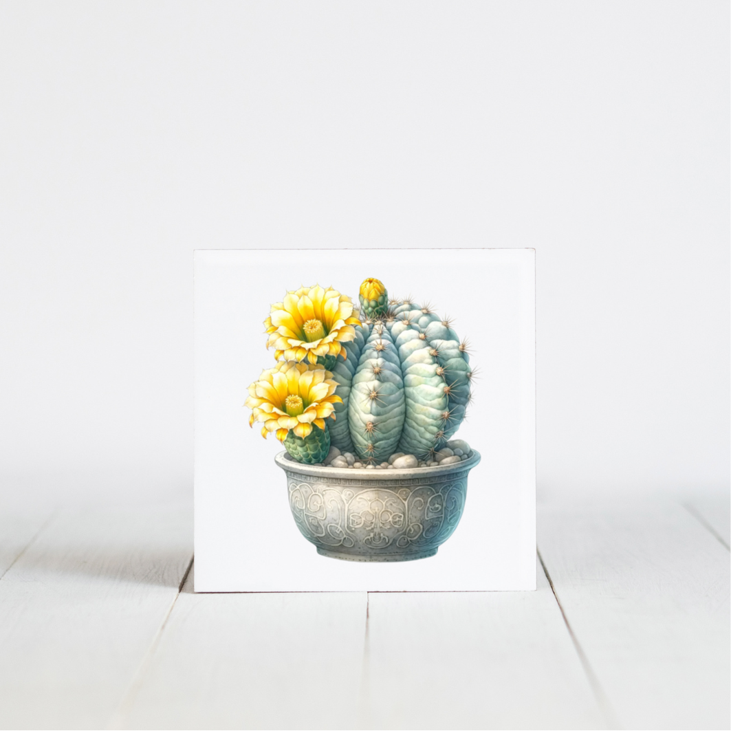 tegeltje met cactus afbeelding