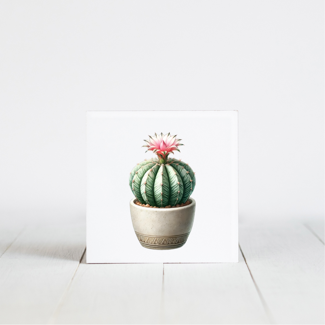 tegeltje met cactus afbeelding