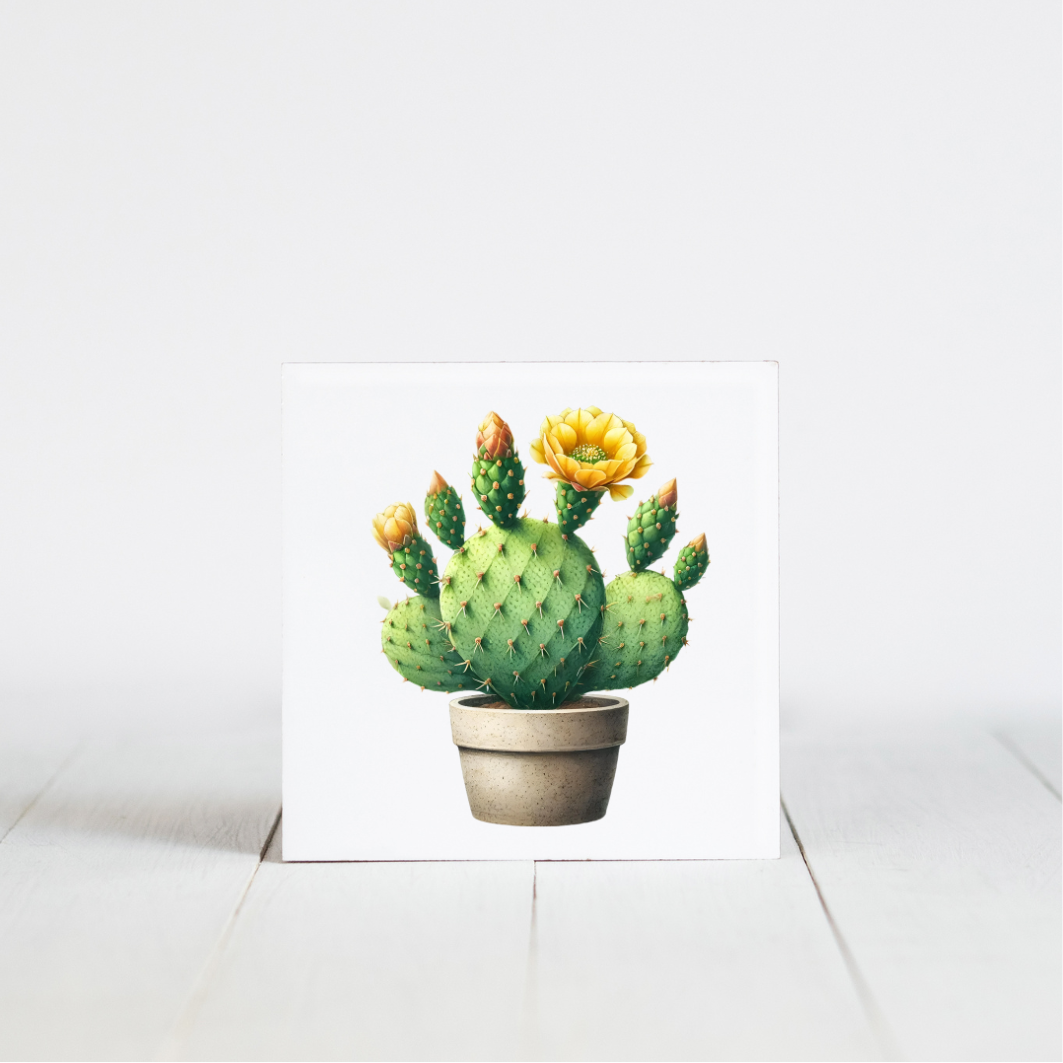 tegeltje met cactus afbeelding
