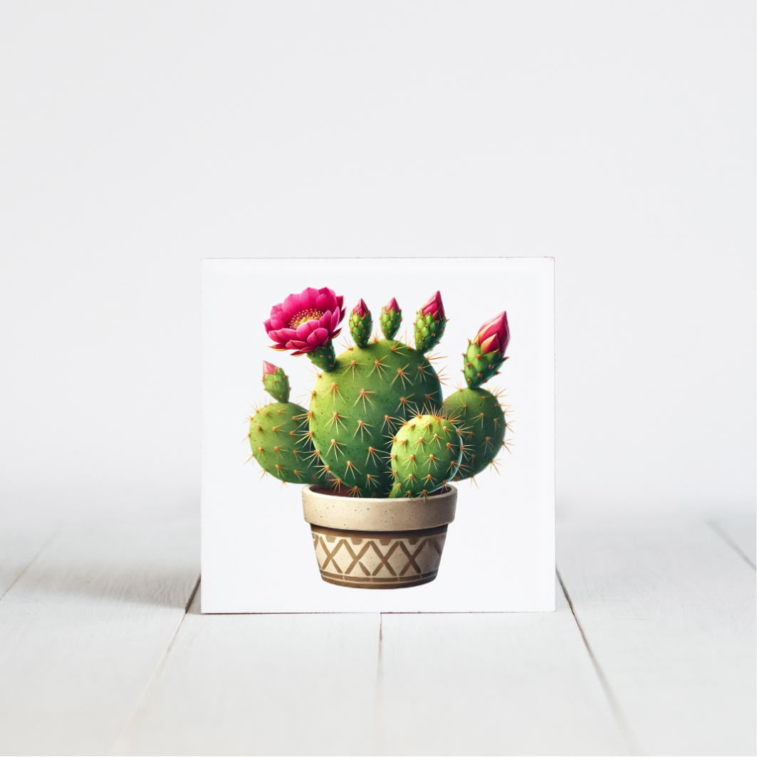 tegeltje met cactus afbeelding