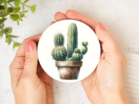 cactus onderzetter