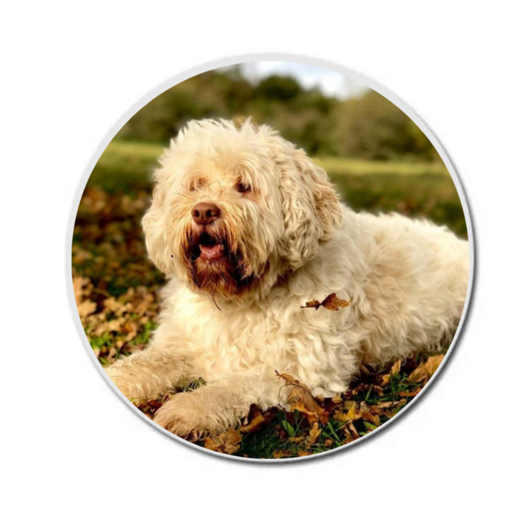 Onderzetter rond met eigen afbeelding